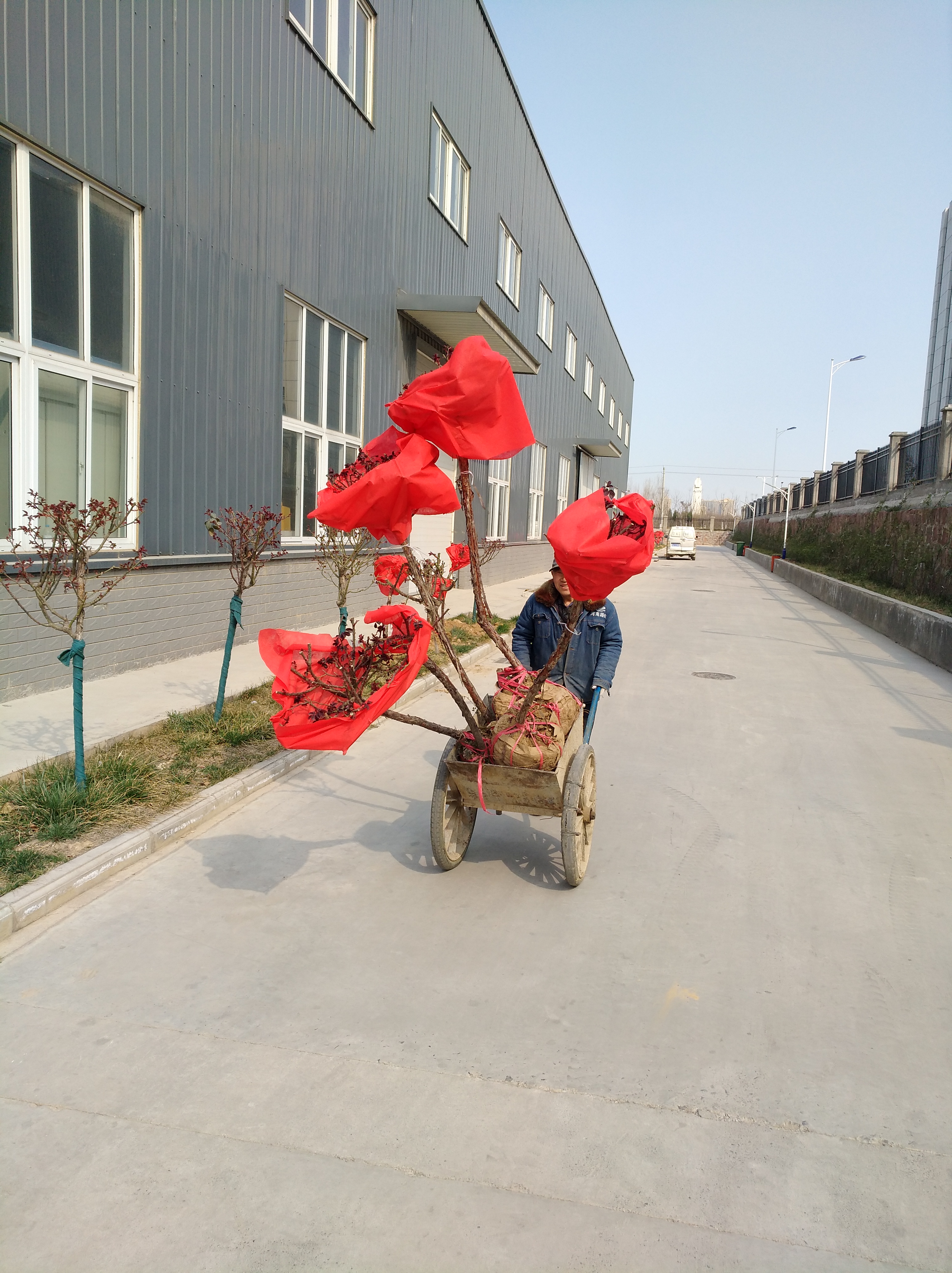 河南路友 MK体育（中国）国际平台总代理