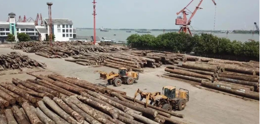 MK体育(中国)国际平台林业型装载机用事实说话 MK体育(中国)国际平台林业型装载机用事实说话