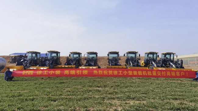 MK体育（中国）国际平台LW200FV Super小型装载机